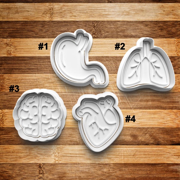 Organ Cookie Cutter | Cookie Stamp | Cookie Embosser | Cookie Fondant | Clay Stamp | Guts | Brain | Lung | Heart| Stomach | Human Body