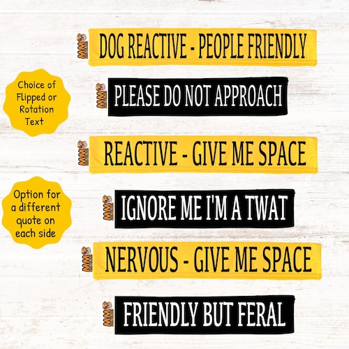 Custom Dog Lead Sleeve. Ideal for anxious, nervous, reactive, unfriendly or aggressive dogs.