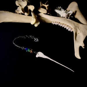 Real Bone & Crystal Pendulums. zdjęcie 1