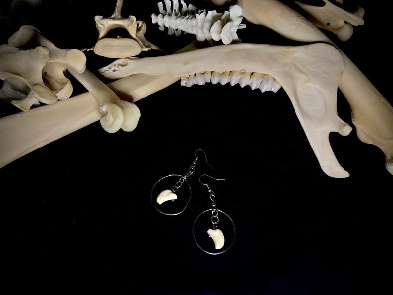 Real Bone Drop Earrings. image 3