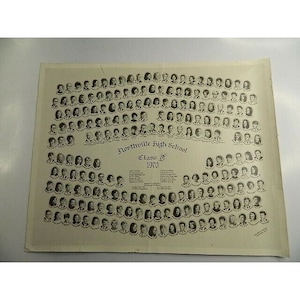 Vintage 1970 Northville (Mich) High School Class of 1970 11” X 14” Photo