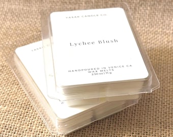Lychee Blush Wax Melts Warmer/Burner.
