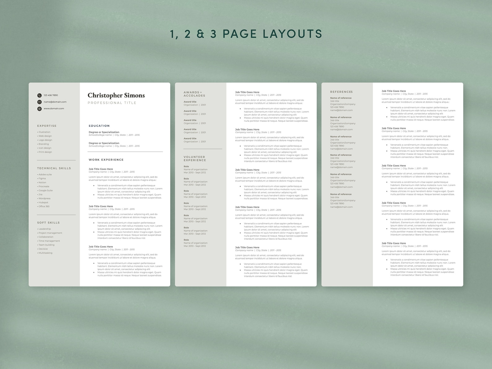 Google Docs Resume Template | Executive, Professional & Modern Resume ...
