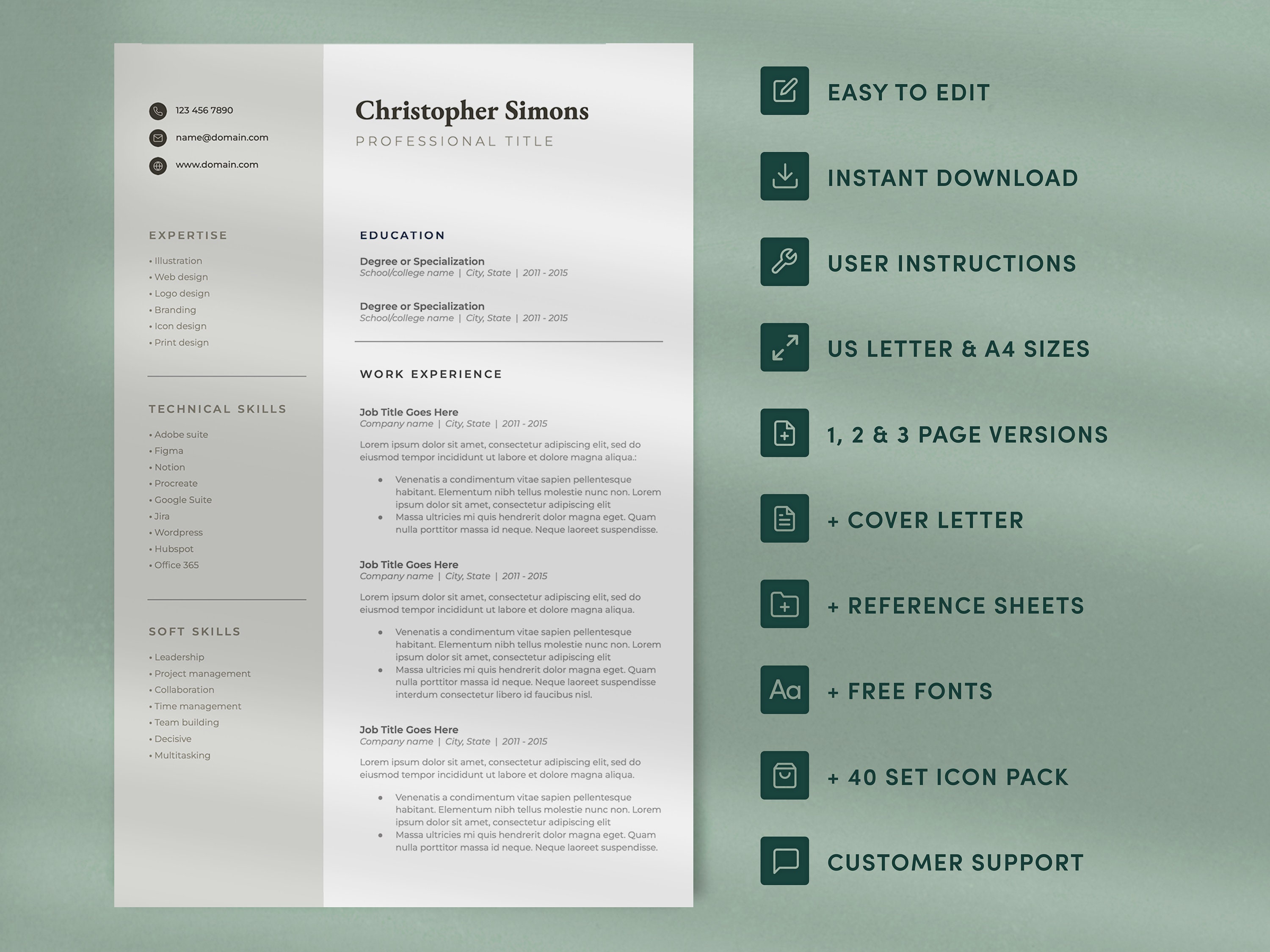 Google Docs Resume Template | Executive, Professional & Modern Resume ...