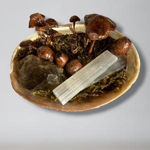 Whimsical Mushroom, Moss, Smokey Quartz and Selenite in an Abolone Shell