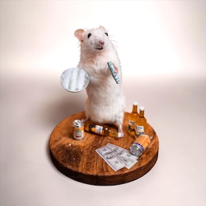 Taxidermy Coca*ne/ Money/ Party Mouse