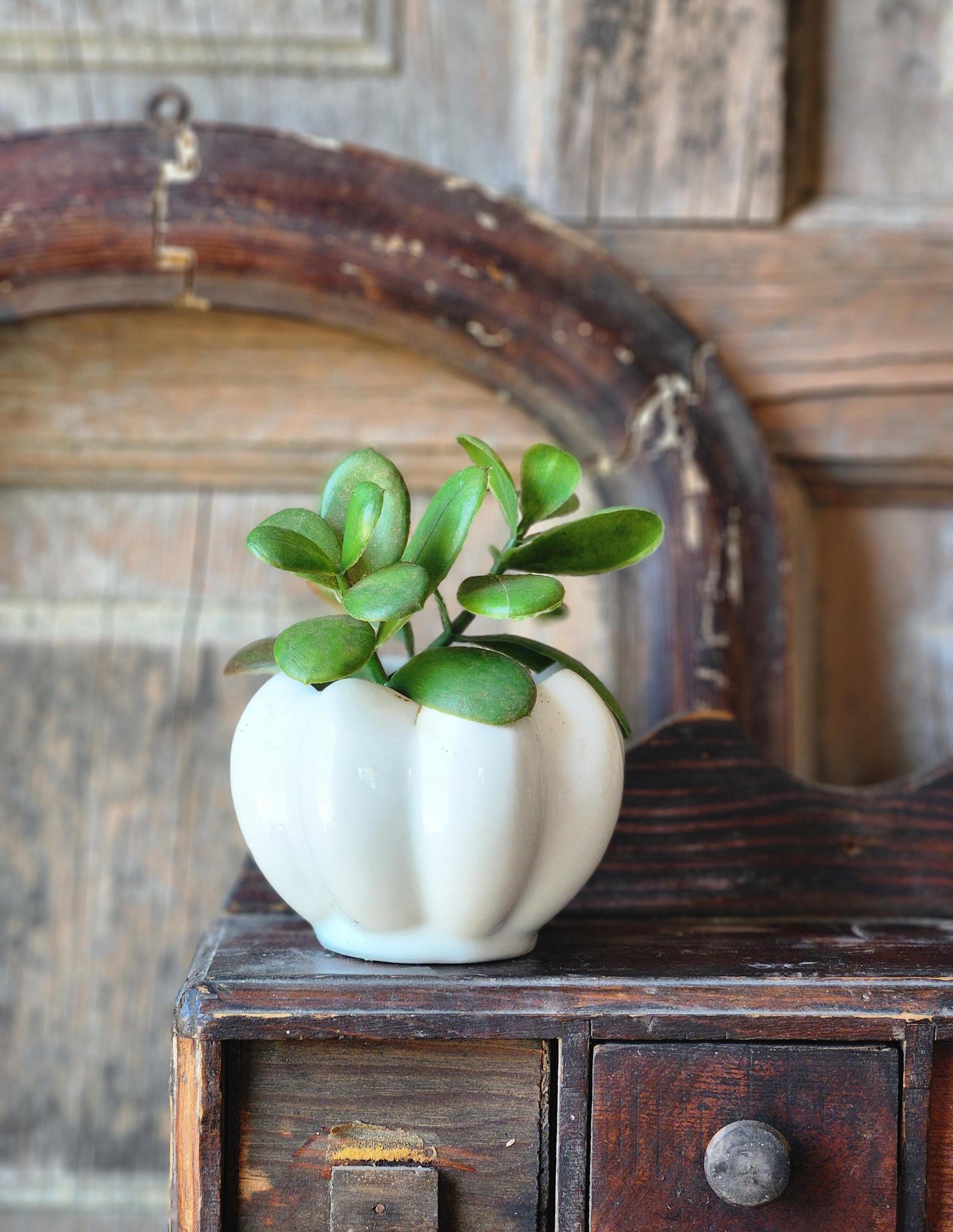 EL ALAMO POTTERY – El Alamo Pottery
