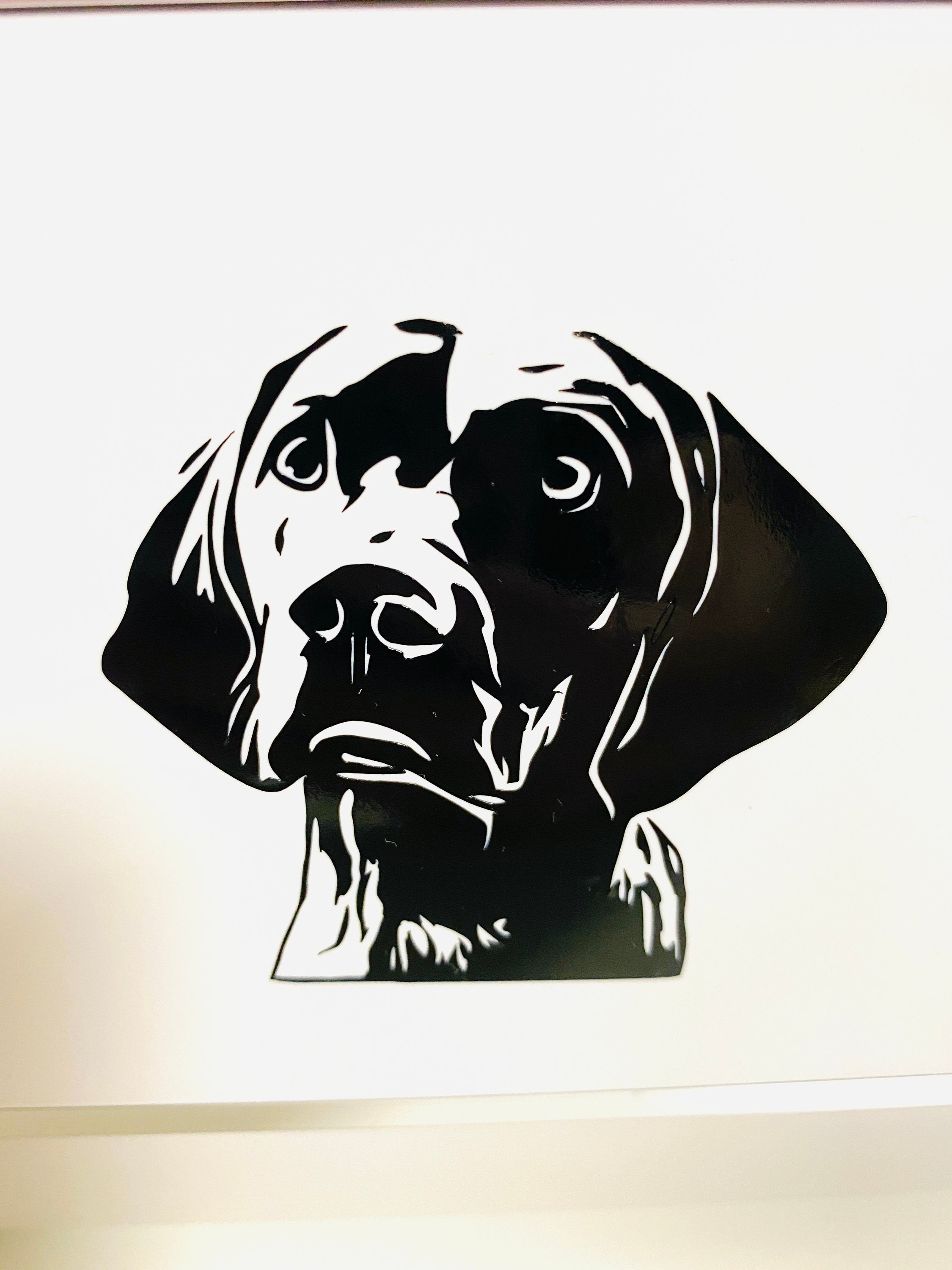 Auto Aufkleber  Name on Tour (12x3) Hund Pfote Vinylsticker