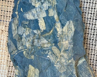 Pyrite Paleozoic Era Carboniferous Fern And Foliage Flora Fossil