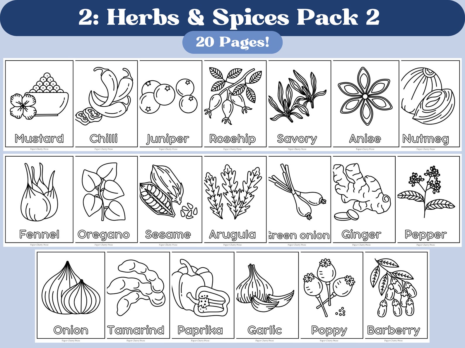 Herbs & Spices BUNDLE Coloring Pages Printable Coloring Etsy