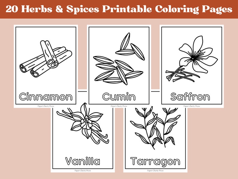 HERBS & SPICES COLORING Pages Printable Coloring Pages Etsy