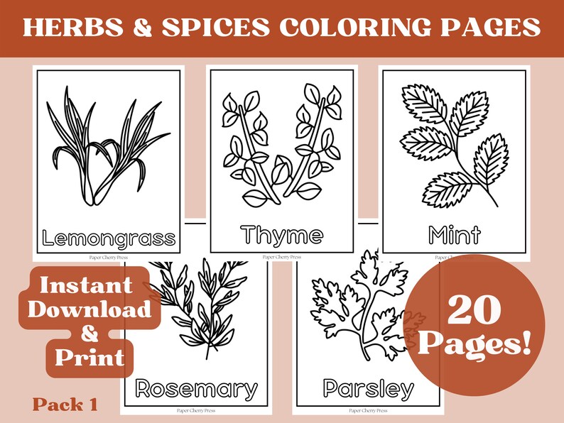 HERBS & SPICES COLORING Pages Printable Coloring Pages Etsy