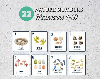 Nature Count and Clip Cards 1-20|Number Matching Cards|Counting Number Cards|Montessori Number|Flashcards Count to 20