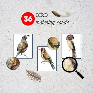 Birds Matching Flashcards|Bird Unit nature Study|Winter Birds|Montessori Materials Printable|Nature Study|Homeschool Learning|Bird worksheet