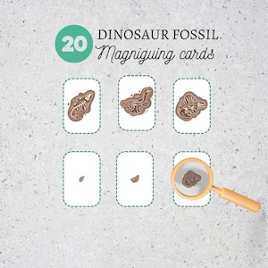 May include: A set of 20 dinosaur fossil magnifying cards. The cards feature illustrations of dinosaur skeletons in various poses. The cards are designed to be used with a magnifying glass to help children learn about dinosaurs.