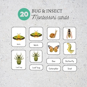 Tarjetas de memoria de Minibeast/Tarjetas de memoria de insectos imprimibles/Tarjetas de memoria de vocabulario para educación en el hogar/Recursos de aprendizaje preescolar/