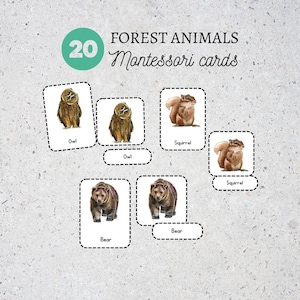 Woodland Animals Flashcards, Kids Printable, Nomenclature Cards, Toddler Activity, Montessori Cards, Cards for Preschool,