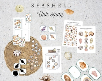 May include: A seashell unit study with various worksheets and activities. The worksheets include counting seashells, matching seashells, and identifying different types of seashells. There are also images of seashells in a jar and on a wicker tray.