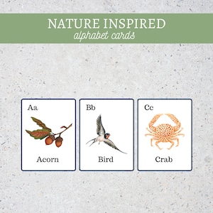 Alphabet Cards|Nature Study|Flash Cards|Nature Inspired|Homeschool Nature Study|ABC Cards|Montessori Materials Printable|Pre-School Cards