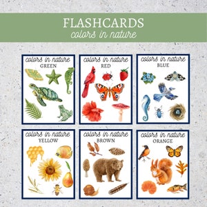 Farben in der Natur Karteikarten|Farben Karteikarten|Montessori|Farben Natur Karteikarten| Farben|Lernmaterial, PDF, Sofortdownload