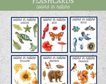 Colors in Nature Flashcards|Color Flashcards|Montessori|Colour Nature Flashcards| Colours|Educational PDF File, Instant Download