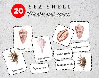 Seashell Shape Montessori 3 Part Cards|Seashell Flashcards|Montessori Learning Materials|Nomenclature Cards|Homeschool Learning|Nature Study