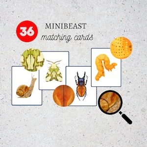 Carte di abbinamento Minibeast/Ispirazione Montessori/Abbinamenti di modelli per bambini/Studio sulla natura/Apprendimento scolastico a casa/Identificazione di insettilUnità di abbinamento
