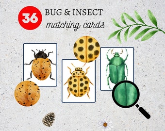 Preschool Woksheets PDF,Insect Matching Cards,Montessori Printable,Toddler Activity, Busy Book Pages, Homeschool Learning, Nature Study