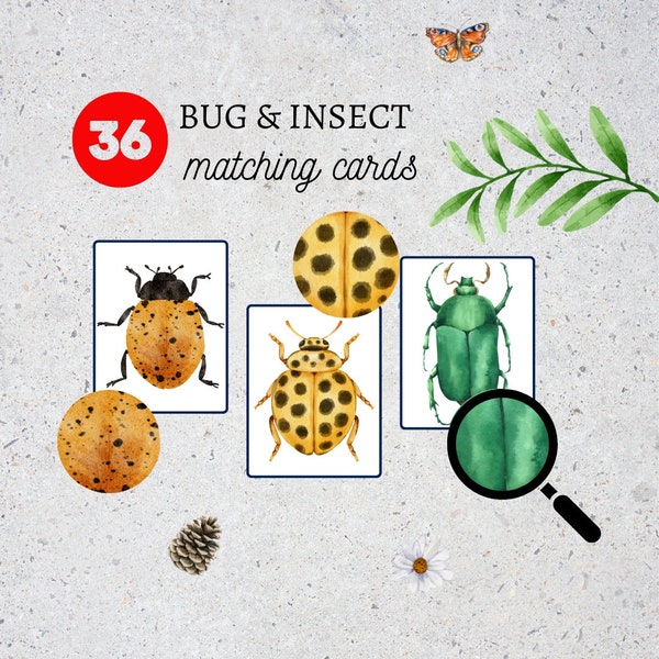 Insect Matching Cards|Montessori Materials Printable|Toddler Pattern Matching|Nature Study|Homeschool Learning| Bug Identification Printable