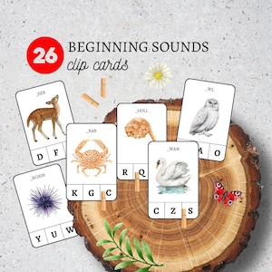 Phonics Flashcards|Alphabet ABC Flash Cards for Preschool|Montessori Letters|Kindergarten Letter Sounds|Beginning Sounds|Preschool Alphabet