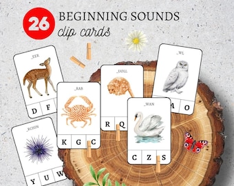 Cartes éclair sur la phonétique|Alphabet ABC pour le préscolaire|Lettres Montessori|Lettres sonores pour la maternelle|Sons pour les débutants|Alphabet préscolaire
