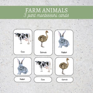 Farm Animal Flashcards Language Cards|3 Part Montessori Nomenclature Cards|Homeschool activities|Pre-School Cards|Nomenclature Cards|