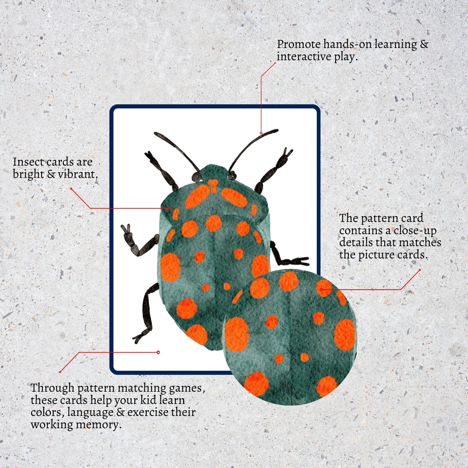 Insect Matching Cardsmontessori Materials Printabletoddler - Etsy