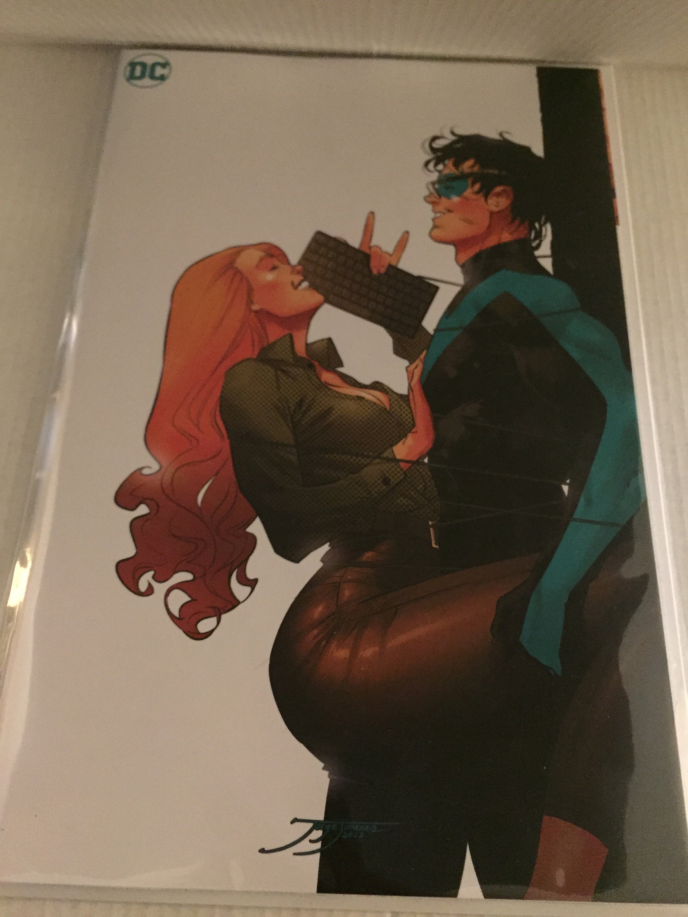 Barbara Gordon Nightwing