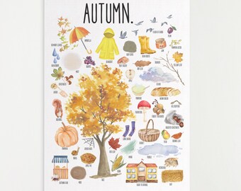Aesthetic Flashcards - Etsy
