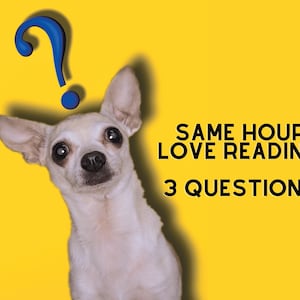 Same Hour Love Reading - 3 Fragen, 3 Karten, Psychische Liebeslesung, Genaue Wertung, Beziehungslesung (Vergangenheit, Gegenwart, Zukunft)