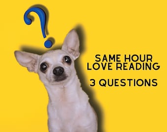 Same Hour Love Reading - 3 Questions, 3 Cards, Psychic Love Reading, Accurate Reading, Relationship Reading (Past, Present, Future)
