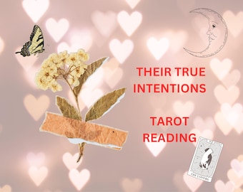 Same Hour Tarot Reading, Their True Intentions, What Do They Want From You? Psychic Reading, Accurate Insights, Love Reading