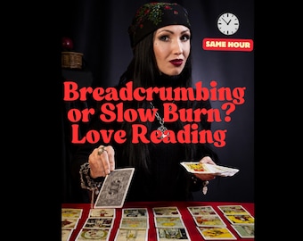 Lettura dei tarocchi sull'amore in un'ora: briciole di pane o fuoco lento? Segnali contrastanti - Guida psichica