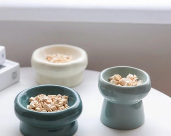 Lindo cuenco elevado de cerámica para gatos: el regalo perfecto para tu mascota