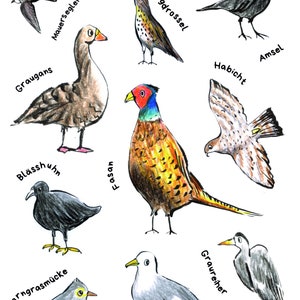 Aufkleber Stickern Heimische Vögel