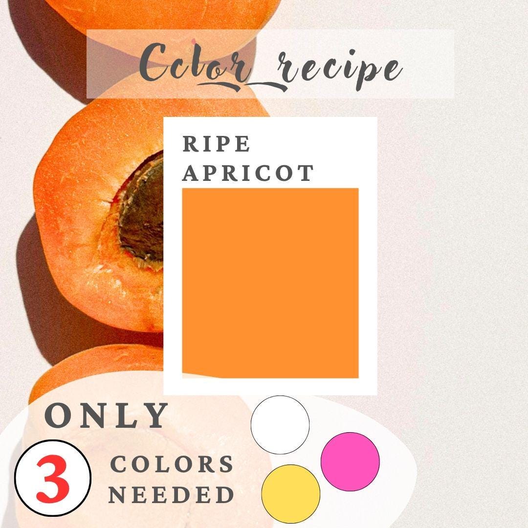 Polymer Clay Color Recipe RIPE APRICOT Fondant Color Recipe Color ...