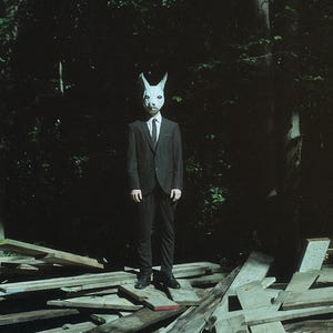 May include: A person wearing a dark suit and a white rabbit mask stands in a dark forest setting. The person is surrounded by wooden planks and debris.