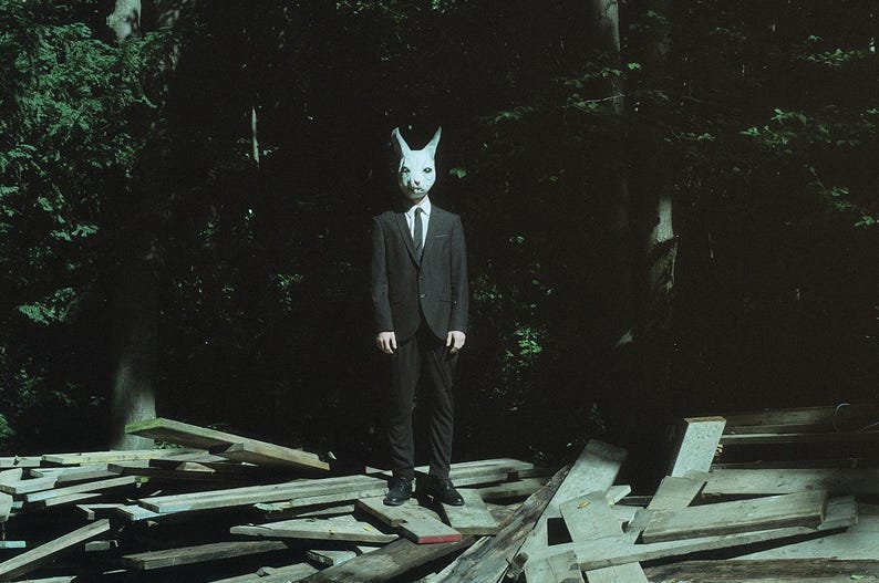 May include: A person wearing a dark suit and a white rabbit mask stands in a dark forest setting. The person is surrounded by wooden planks and debris.