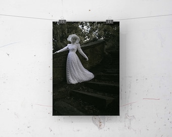 forest obscurities photography print