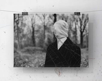 webbed fine art photography print - 8X6