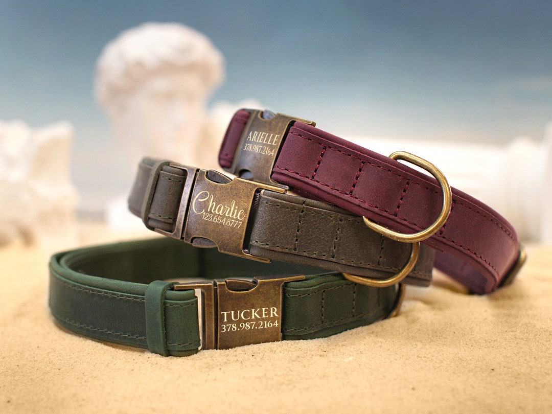 Soft Padded Dog Collar With Metal Buckle, Personalized Leather Dog