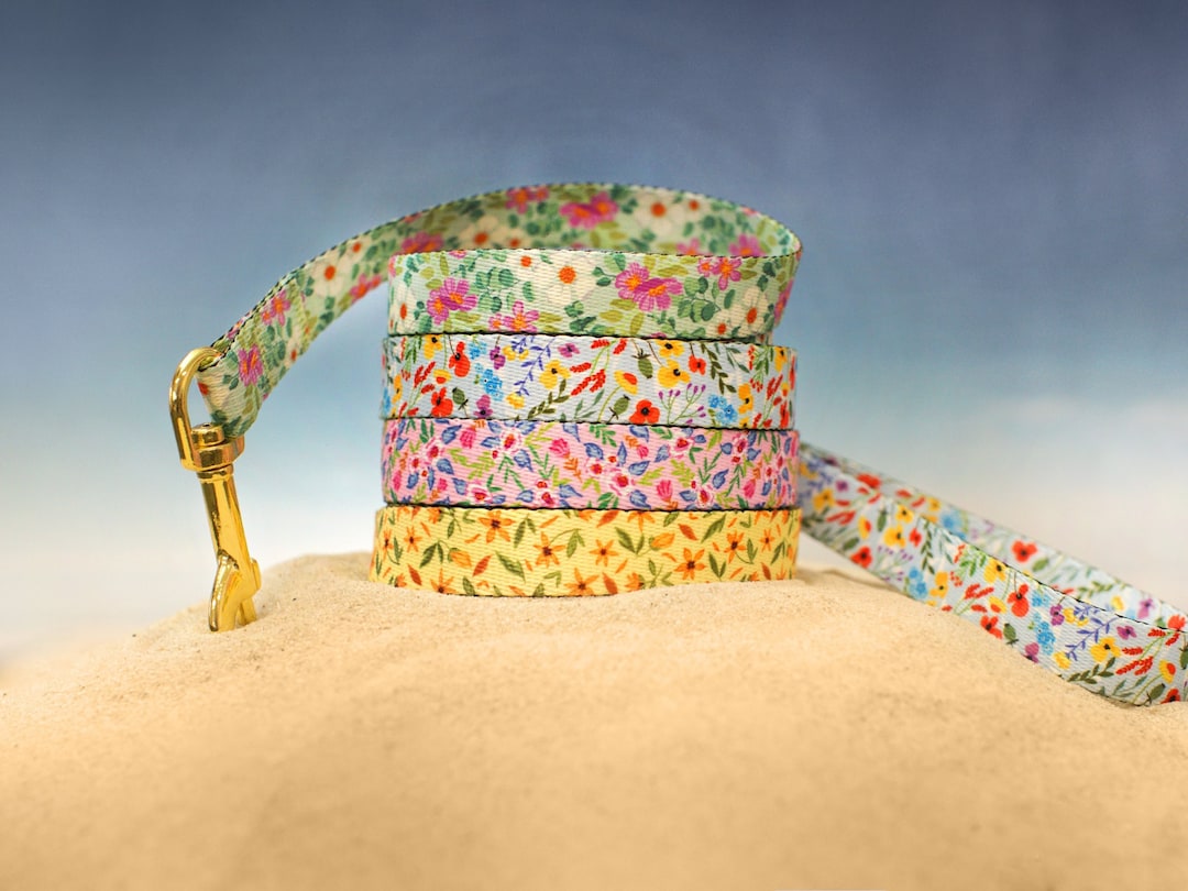 Personalized Dog Leash Floral, Girl Dog Leash, Female Pet Leash for