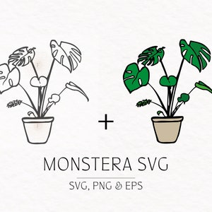May include: A digital illustration of a Monstera plant in a beige pot. The image shows a black and white outline next to a colored version with green leaves. Text reads "MONSTERA SVG" and "SVG, PNG & EPS".