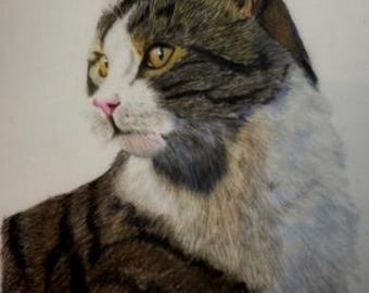 A4 リアルなペットの肖像画
